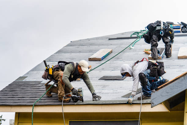 Professional Roofing technician working in Wayland, IA